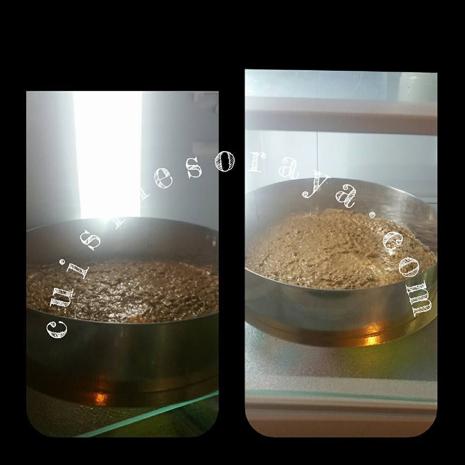 Mousse aux spéculoos sur craquant au praliné