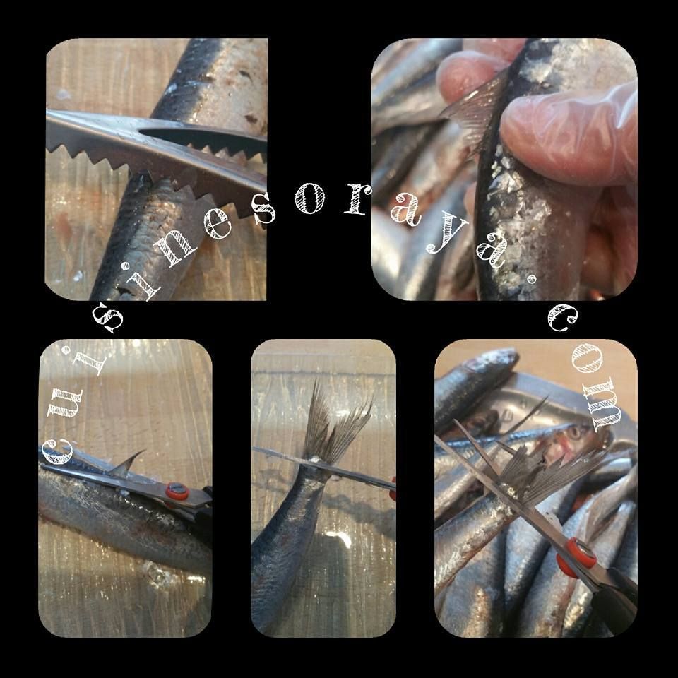 Kefta de sardines